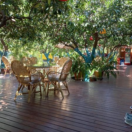 Bahce Villa Çıralı Ngoại thất bức ảnh