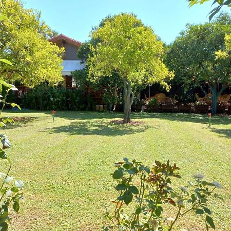 Bahce Villa Çıralı Ngoại thất bức ảnh