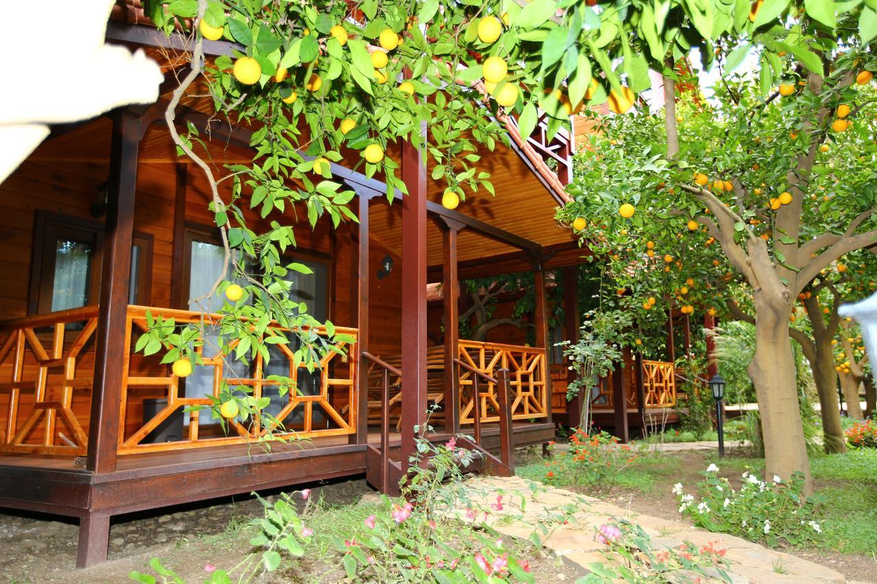 Bahce Villa Çıralı Ngoại thất bức ảnh